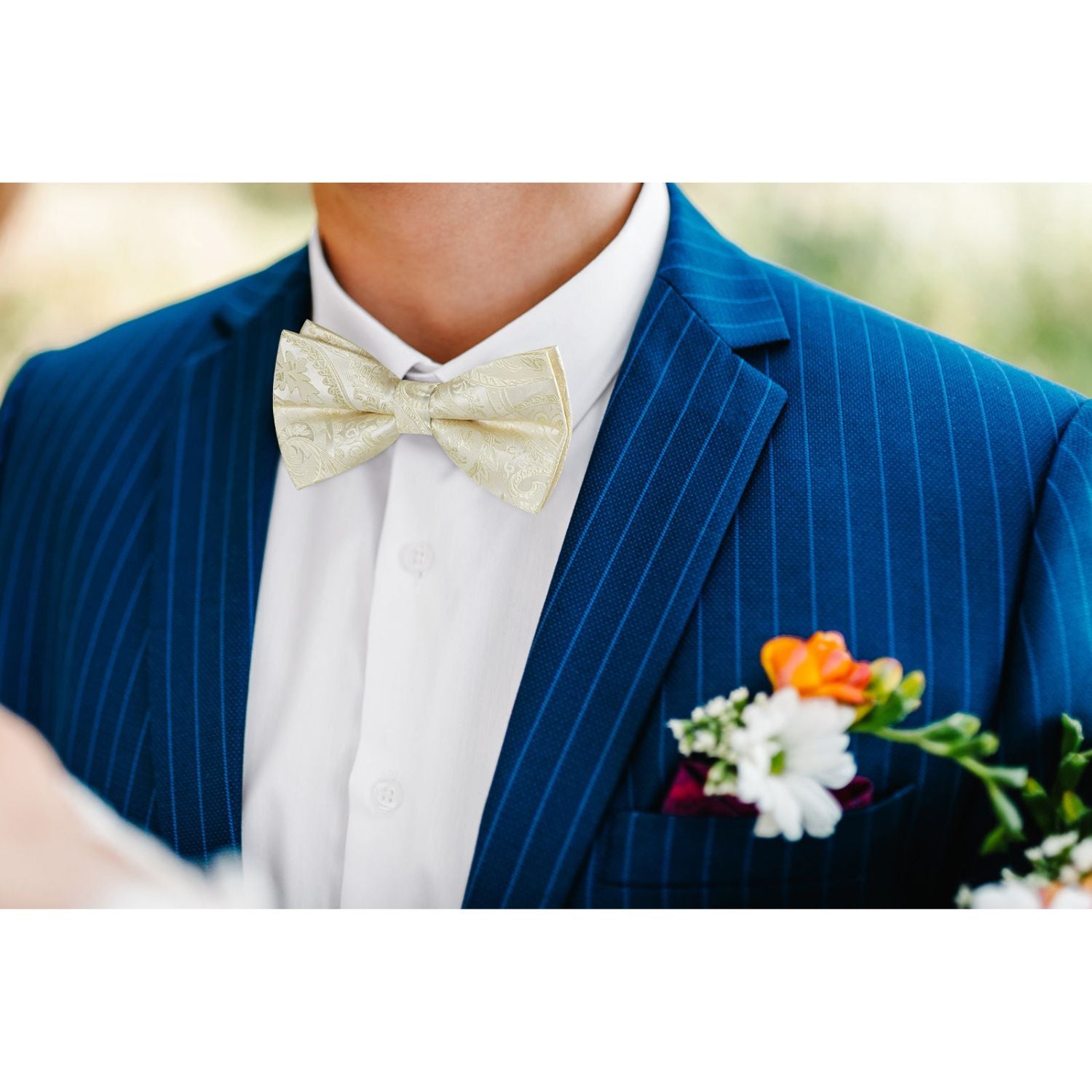 Paisley Pre-Tied Bow Tie & Pocket Square - CHAMPAGNE/PAISLEY