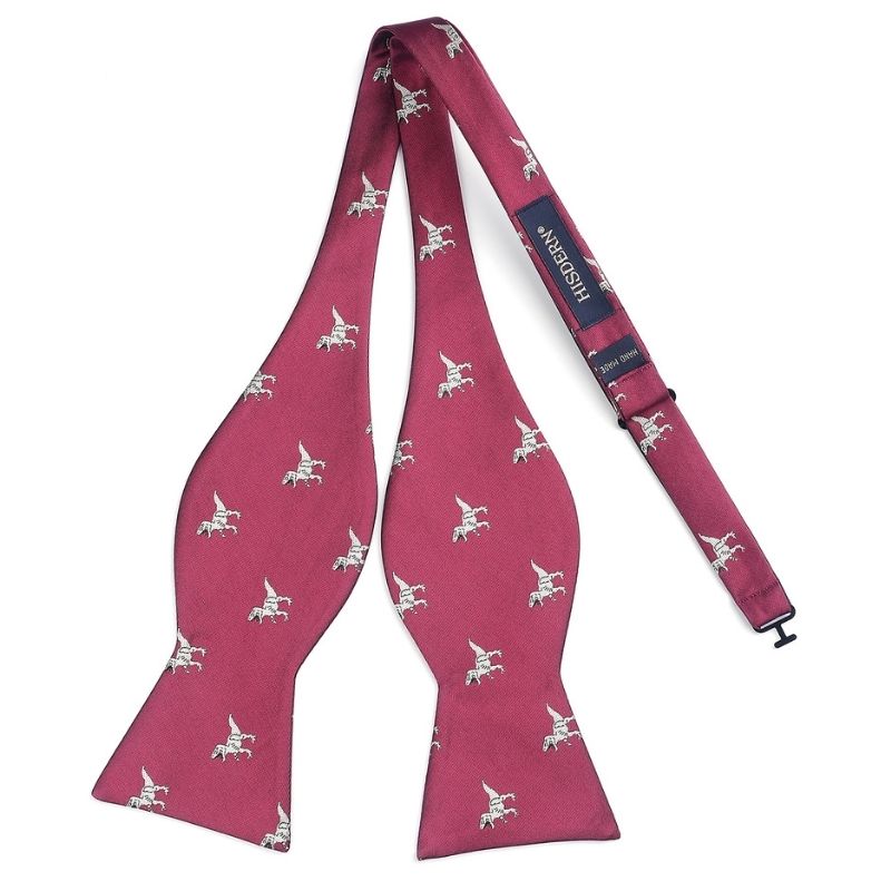 Fun Animal Bow Tie & Pocket Square - DINASOUR/BURGUNDY