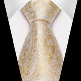 Paisley Tie Handkerchief Set - 03A-CHAMPAGNE2