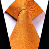 Paisley Solid Tie Handkerchief Set - E4-ORANGE