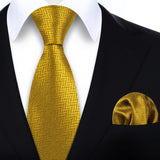 Men's Plaid Tie Handkerchief Set - C5-GOLD