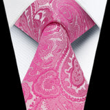 Paisley Extra Long Tie Handkerchief Set - C20-PINK