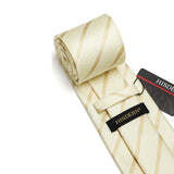 Stripe Tie Handkerchief Set - GOLD/CHAMPAGNE